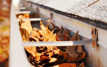 Nether Horsburgh gutter cleaning companies