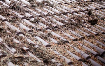 Nether Horsburgh roof cleaning companies